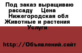Под заказ выращиваю рассаду. › Цена ­ 10 - Нижегородская обл. Животные и растения » Услуги   